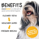 maxxipaws® - maxxidental for dogs (140g)