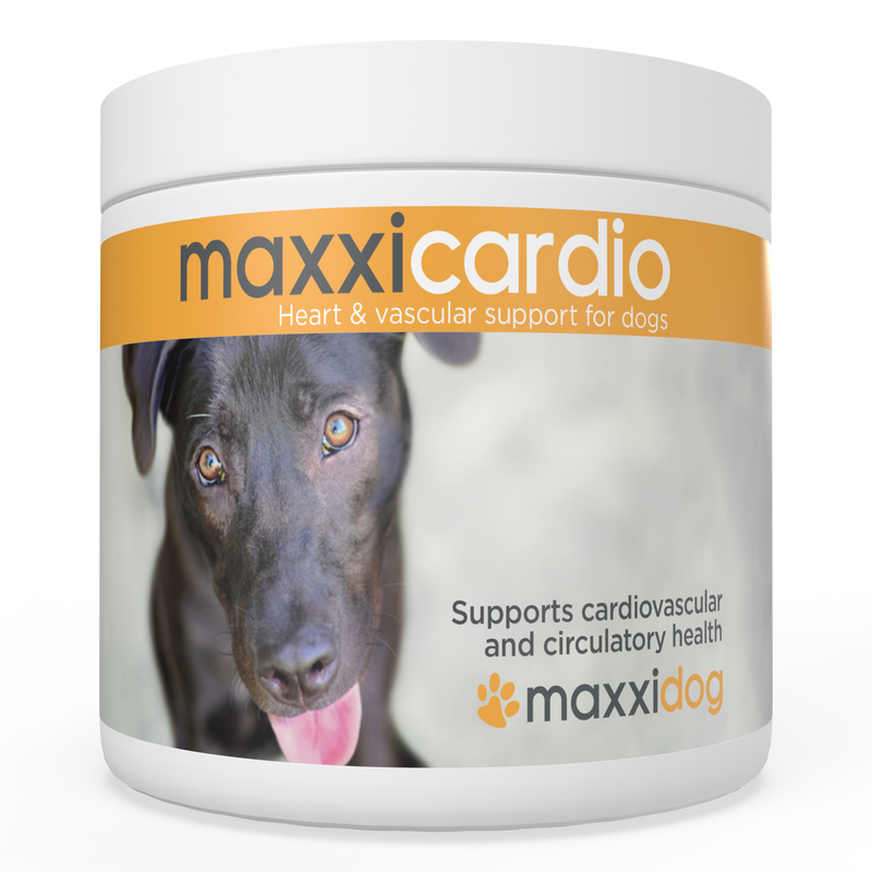 maxxipaws® - maxxicardio for dogs (90g)