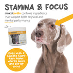 maxxipaws® - maxxicardio for dogs (90g)