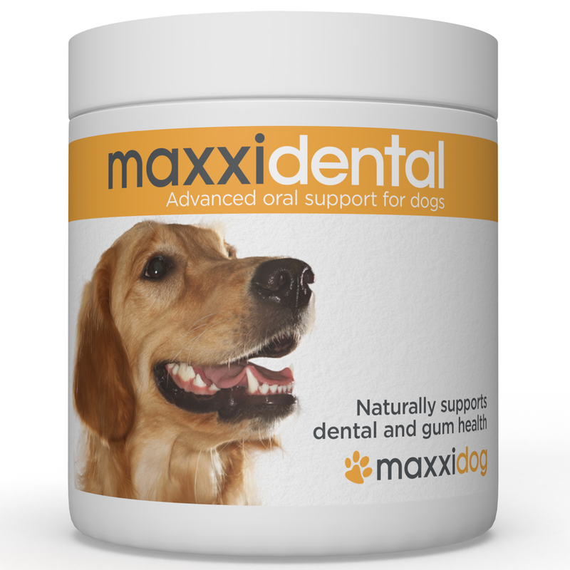 maxxipaws® - maxxidental for dogs (140g)